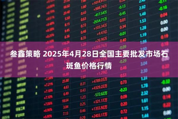 叁鑫策略 2025年4月28日全国主要批发市场石斑鱼价格行情