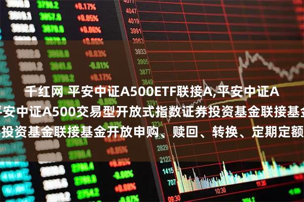 千红网 平安中证A500ETF联接A,平安中证A500ETF联接C: 关于平安中证A500交易型开放式指数证券投资基金联接基金开放申购、赎回、转换、定期定额投资业务的公告