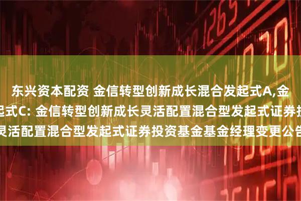 东兴资本配资 金信转型创新成长混合发起式A,金信转型创新成长混合发起式C: 金信转型创新成长灵活配置混合型发起式证券投资基金基金经理变更公告