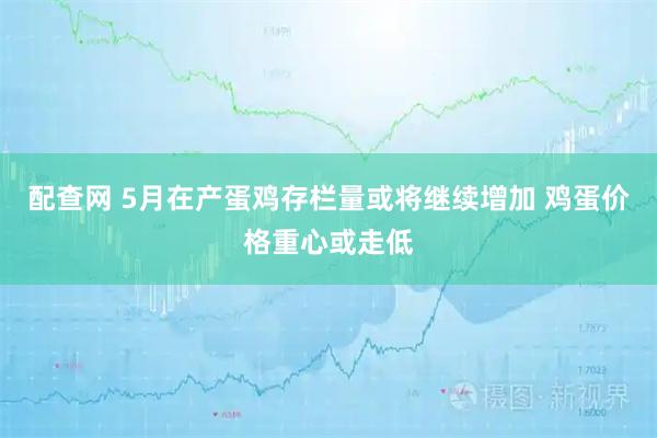 配查网 5月在产蛋鸡存栏量或将继续增加 鸡蛋价格重心或走低