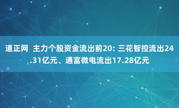 道正网  主力个股资金流出前20: 三花智控流出24.31亿元、通富微电流出17.28亿元