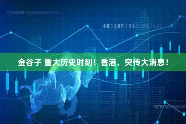 金谷子 重大历史时刻！香港，突传大消息！